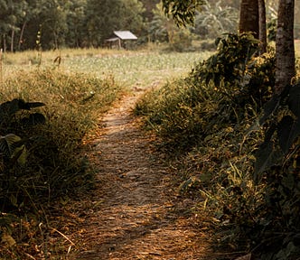 A village in Kalimantan, Indonesia
