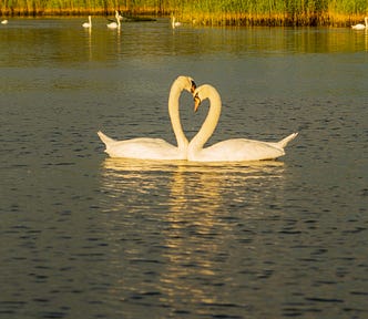 How do I make him want you? Why can’t someone make you more attractive?