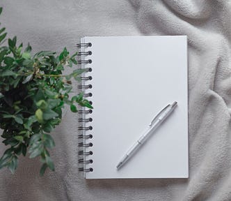 A notebook and pen beside a plant.