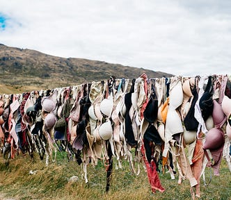 photo of thousands of bras handing on a clothes line