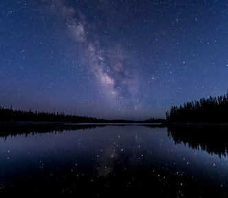 A lake and trees in the moonlight