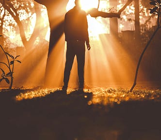 A person silhouetted by light streaming through the trees