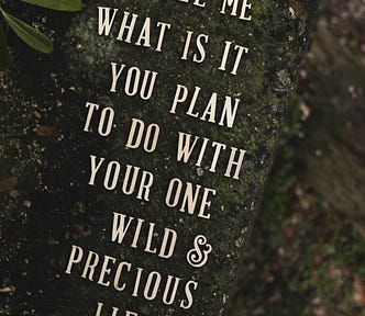 Written on a rock — Tell me what is it you plan to do with your one wild and precious life.