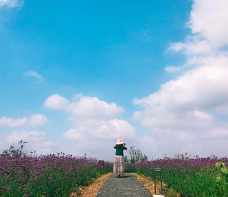 A woman looks off into the bright blue sky from a path through a field of wildflowers.