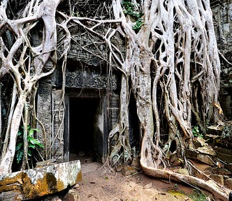 A door to a tomb covered by tree roots.