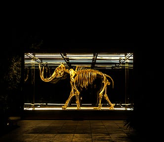 A golden mammoth skeleton in dimly lit glass box, amid the darkness