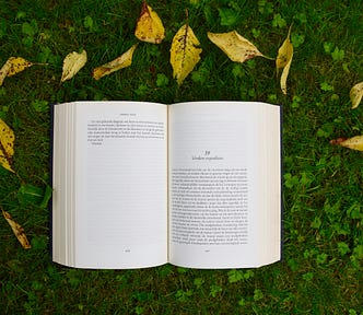 Photo by Annelies Geneyn on Unsplash