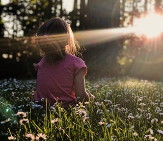 A girl in a field of flowers, gazing at the sunlight beaming through the canopes.