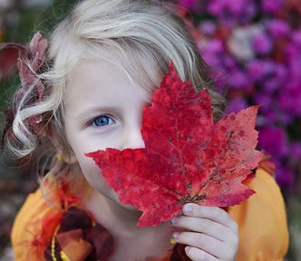 little girl holding a leaf