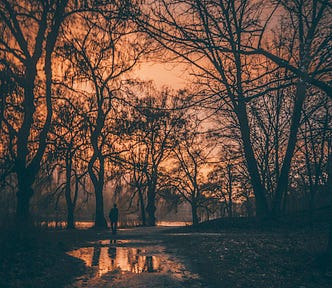 Dusky view of a wet path reflecting the surrounding trees and a person at the far end as if walking or heading towards the far lake in the distance. The more sepia ambiance makes it like a metaphor for looking soberly back into something in my re-examination of the flaws in my national identity from the events in 2020 and since.