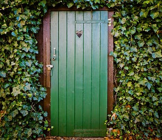 An image of a green door, surrounded in foilage