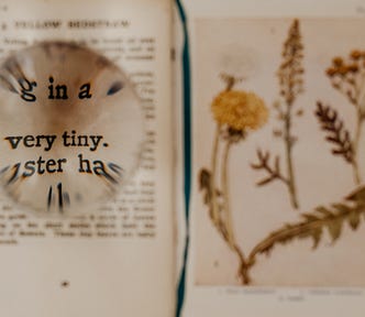 An old-fashioned book about — botany, probably? There are engravings of dandelions — and a magnifying glass allowing us to see the words “very tiny.”