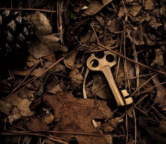 A metal key half buried on a forest floor.