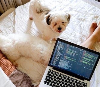 Being a dog mom is one of the most rewarding roles in life. From wagging tails that greet you after a long day to the unconditional love they provide, dogs bring endless joy and companionship.