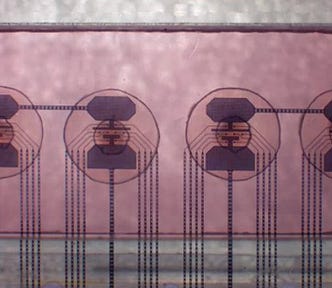 Living Computers, biocomputers