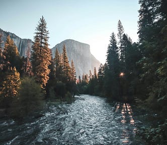 A mountain stream running into the unknown