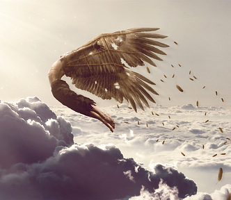 The leap of Icarus Poem by Ahlam Ben Saga and photo artwork by reyed33 on Deviantart.com