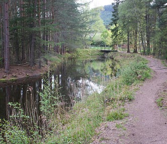 A narrow river lines with trees and a dirt path — open field and hills seen in the background.