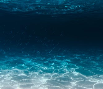 Light penetrates the ocean’s water illuminating little fish