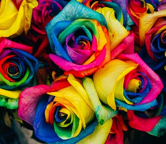 Pretty rainbow colored flowers