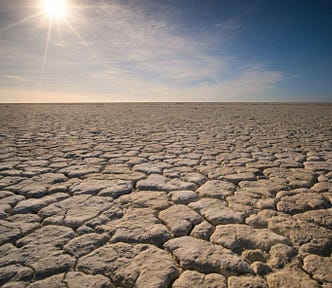 Dried and cracked former lakebed.