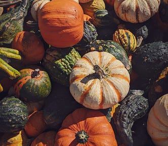Photo of pumpkins.