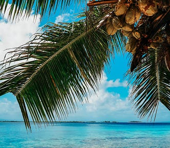Palm tree over ocean. Rebecca Murauskas Medium writer. How to move to another country. American expat living abroad. FIRE
