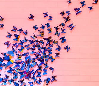 Blue butterflies on a flat  pink surface