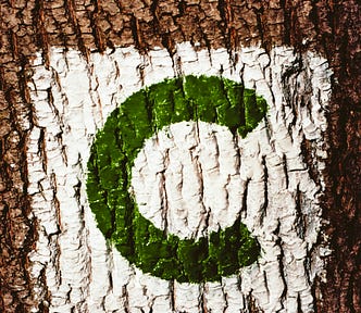 A green C in a white box painted on a tree