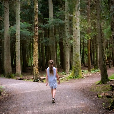 A person walking away from the viewer toward a fork in the road surrounded by trees. “Two roads diverged in a wood…”
