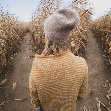 person in a corn maze