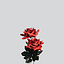Ruby Wildflower
