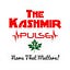 The Kashmir Pulse