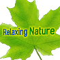 Relaxing Nature