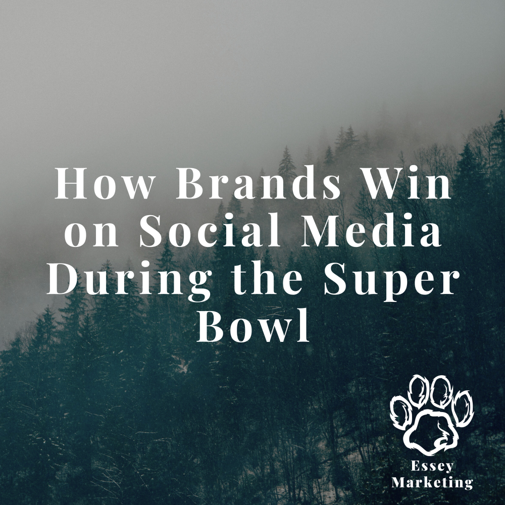 How Brands Win on Social Media During the Super Bowl | by Chris Essey ...