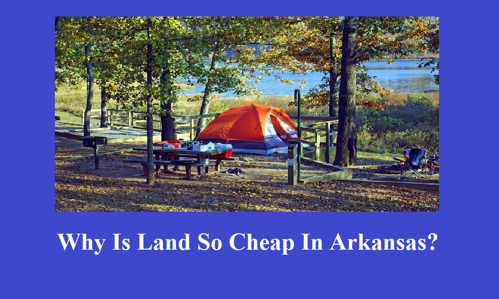 Why Is Land So Cheap In Arkansas? by We Publish Articles Jun, 2024 Medium