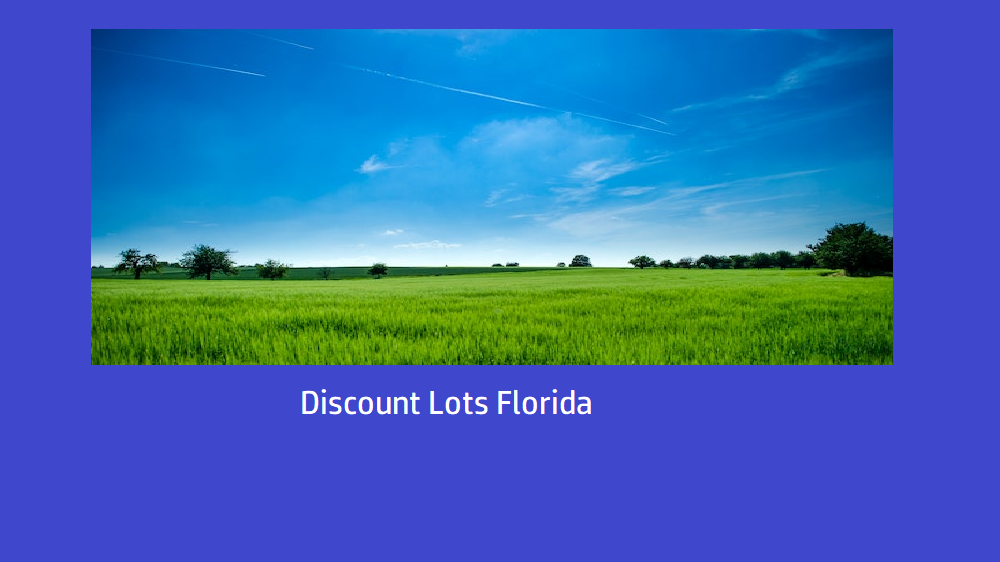 Discount Lots Florida How To Find Cheap Land For Sale In Florida by