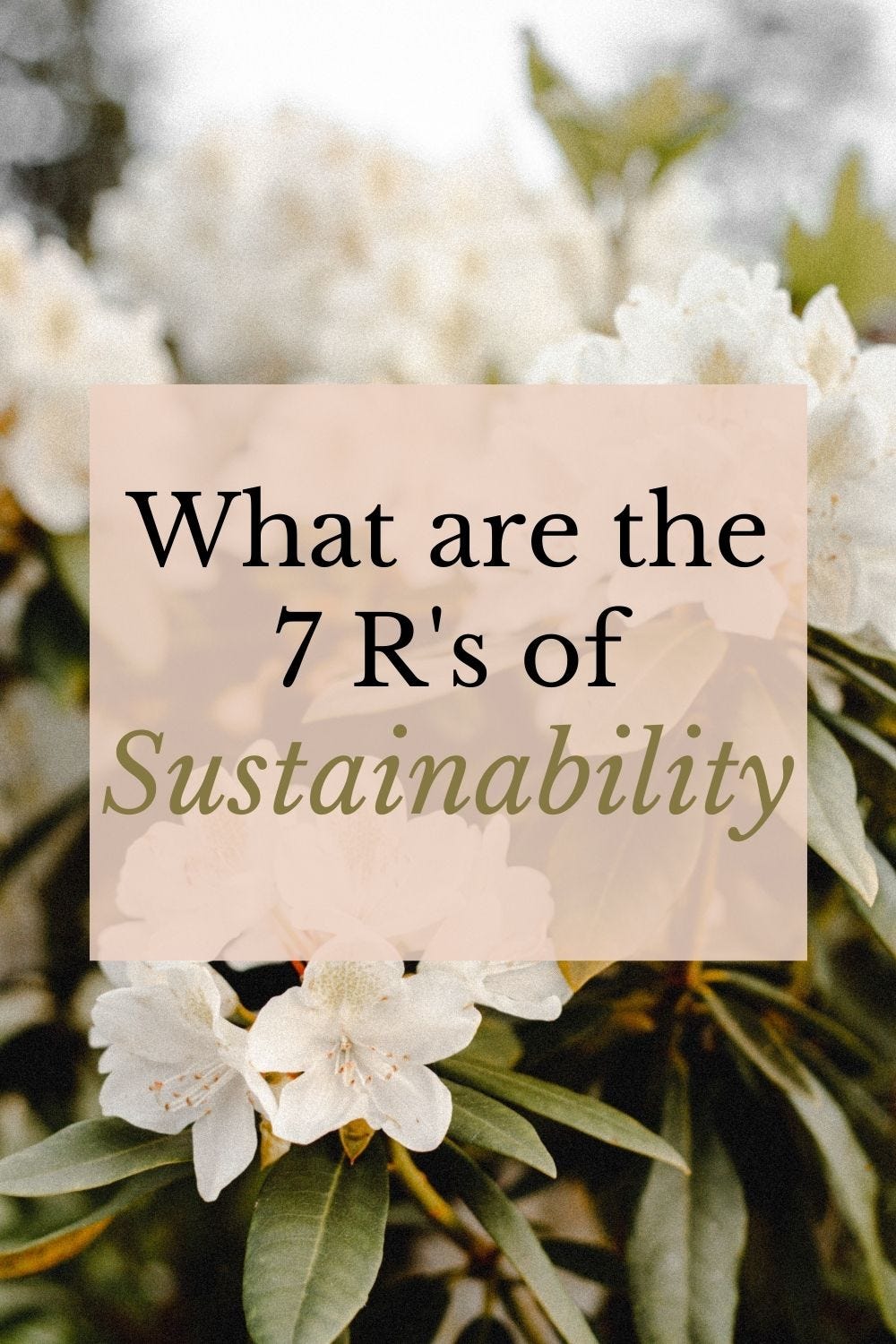 The 7 R’s of Sustainability and How to Use Them | by Youmna Rab | Medium