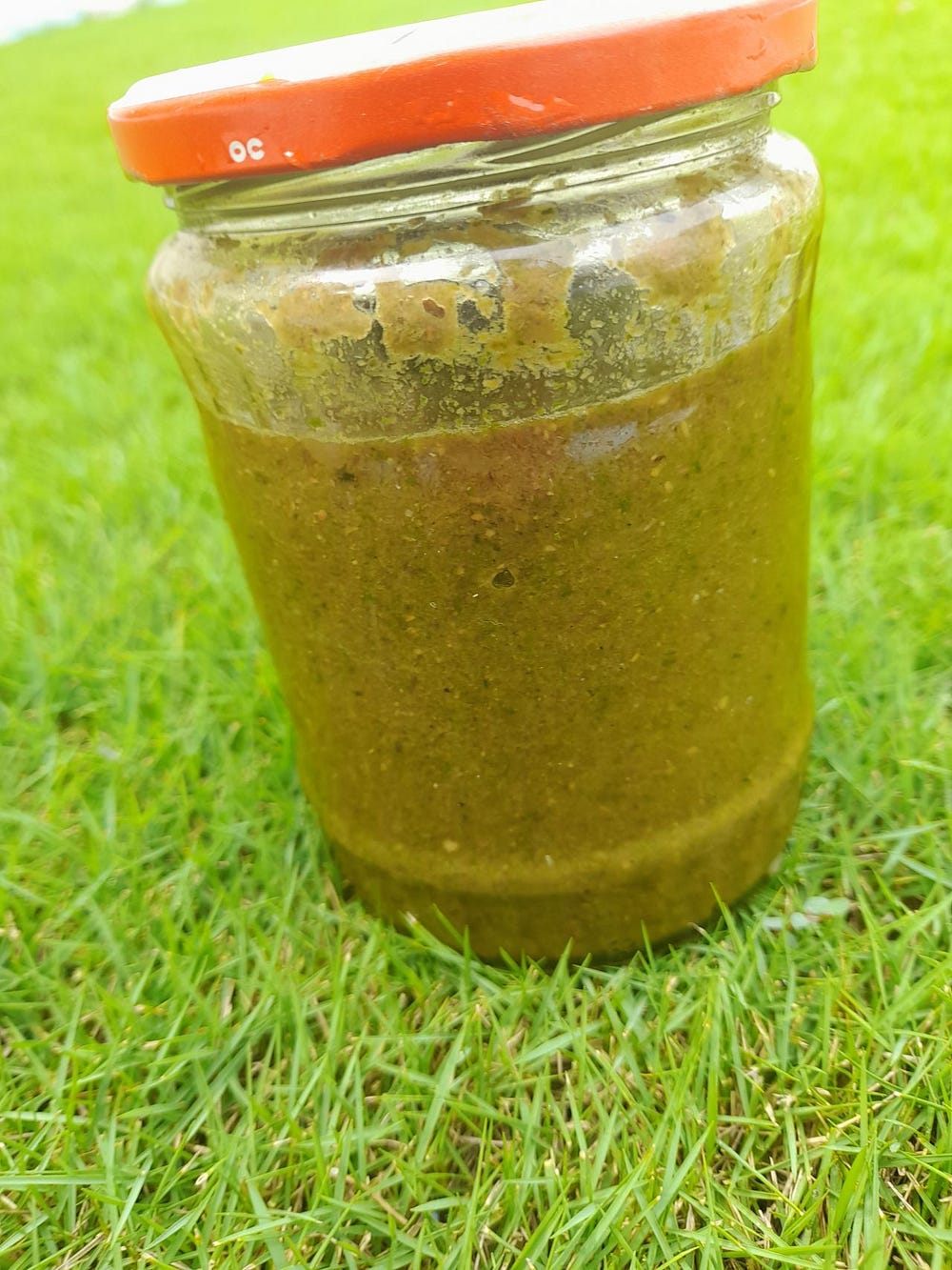 healthy-eating-is-all-a-game-of-ingredients-by-ravinder-singh-dec