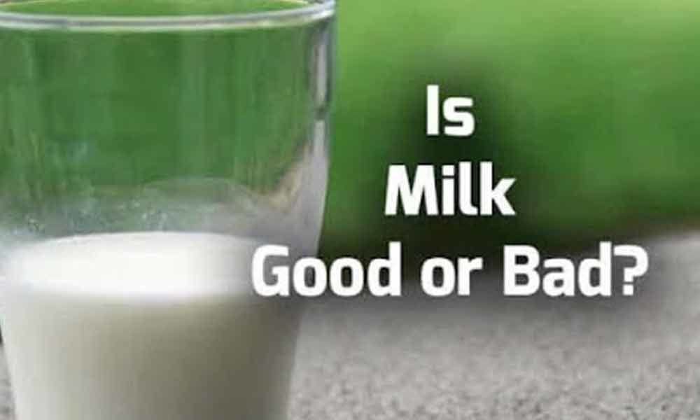 Dairy Debate Unmasking the Truth Behind Is Milk Good or Bad for You