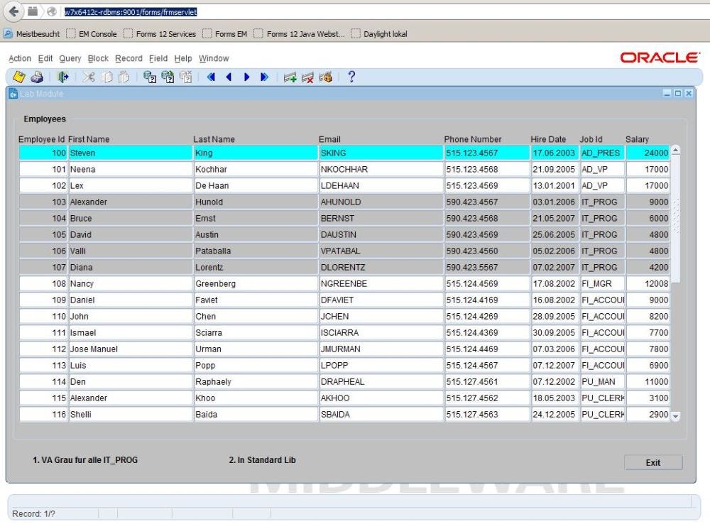 Oracle Forms Standalone Launcher — FSAL and other runtime options for
