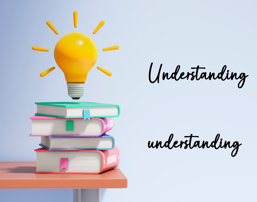 Understanding Understanding by Mats Lederhausen In Pursuit of