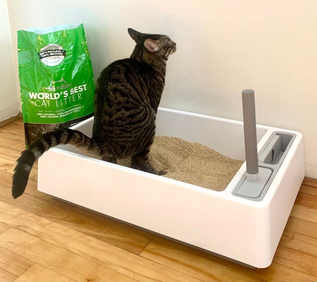 Best Lightweight Cat Litter Reviews 2024 Top Picks for a Cleaner Home