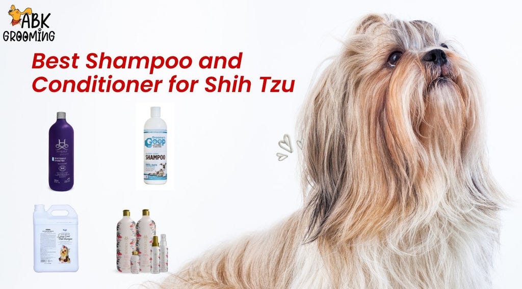 Best shampoo and conditioner for Shih Tzu by Dhruba Sengupta May