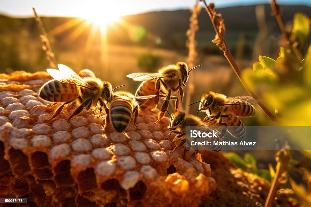 “Bee”ing Inspired” 🐝. Frequently, when we see a bee, our… | by J | Medium