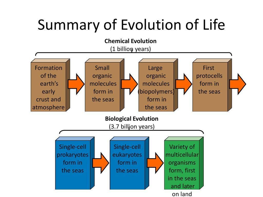 Evolution: Definition, Tricks, And Reference, All You Need To Know ...