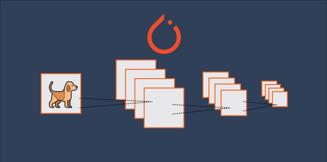 Build an Image Classification Model using Convolutional Neural Networks ...