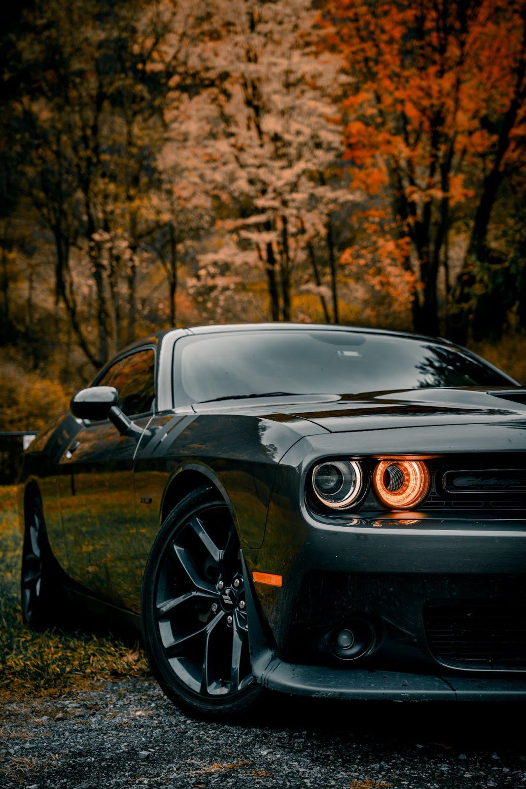 Top-Rated Dealerships In Tampa: A Comprehensive Guide To Cars Of Tampa