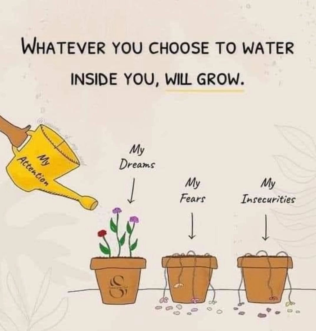 The graphic above reminded me that if I don’t feed what I want to grow