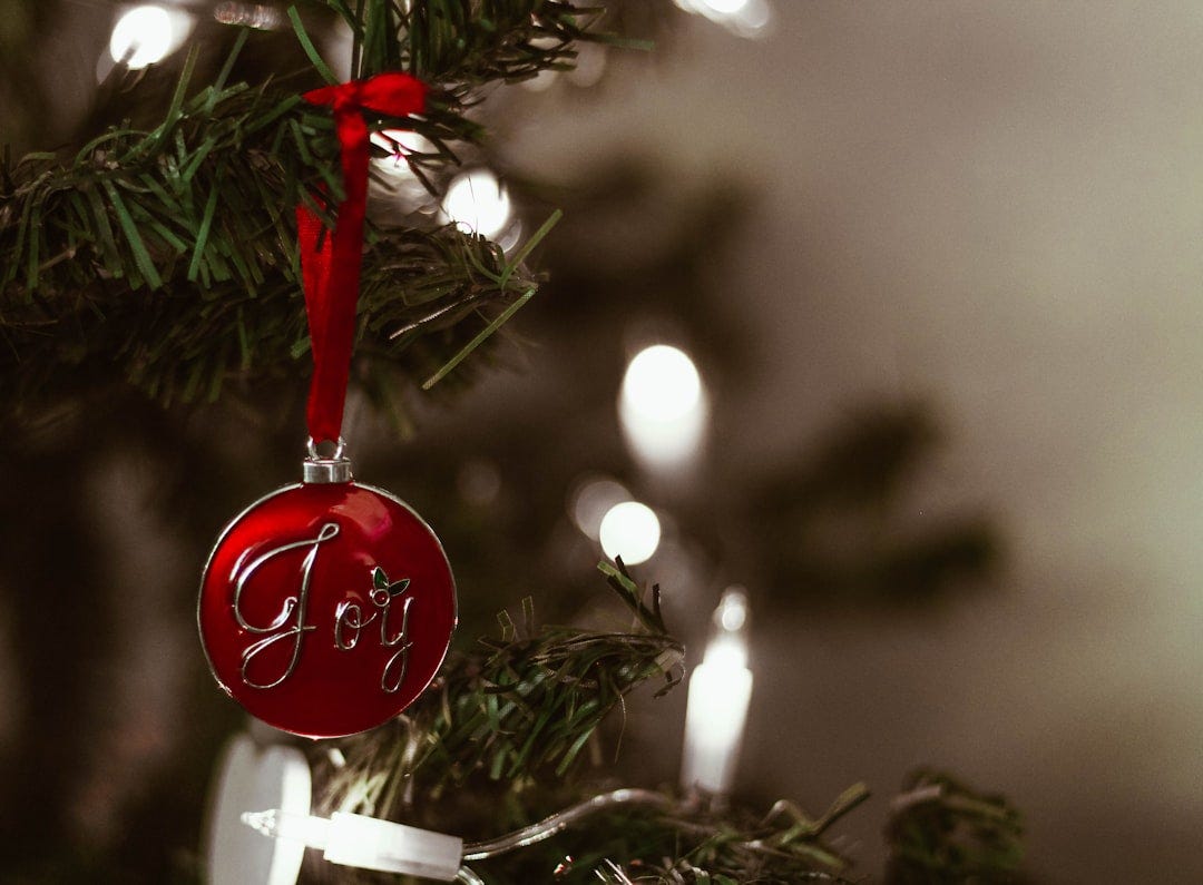 You Can’t Buy Joy, But You Can Choose It: Notes On a Seasonal Superpower